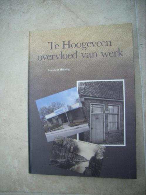 Te Hoogeveen overvloed van werk - Lammert Huizing, Boeken, Geschiedenis | Stad en Regio, Nieuw, 20e eeuw of later, Ophalen of Verzenden