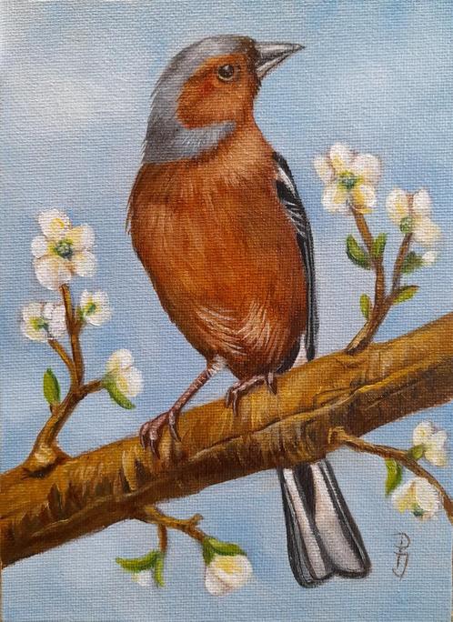 Schilderij vink 256 - gratis lijst - origineel cadeau -vogel, Antiek en Kunst, Kunst | Schilderijen | Klassiek, Ophalen of Verzenden