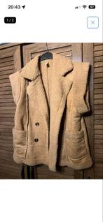 Nieuw gilet - maat 44/46, Kleding | Dames, Bodywarmers, Ophalen, Nieuw, Maat 46/48 (XL) of groter, Beige