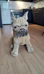 Grote Levensechte Bulldog Hond met IJzeren Frame, Ophalen, Gebruikt, Hond