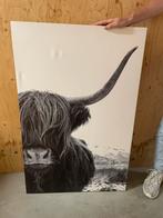 Gratis af te halen: Canvas Schotse Hooglander, Huis en Inrichting, Woonaccessoires | Schilderijen, Tekeningen en Foto's, Ophalen