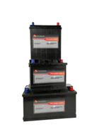 Nieuwe Palidium Accu's - 3 Jaar Garantie, Ophalen, Nieuw, Universele onderdelen