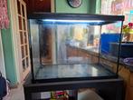 Aquarium met vakkenkast en klein pompje, Ophalen, Zo goed als nieuw