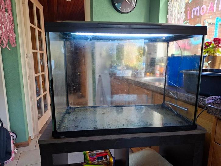 Aquarium met vakkenkast en klein pompje, Dieren en Toebehoren, Reptielen en Amfibieën | Toebehoren, Zo goed als nieuw, Ophalen
