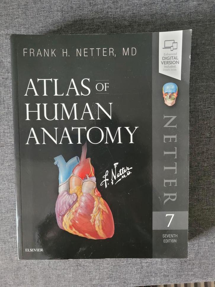 Netter Atlas of Human Anatomy - 7e Editie, Boeken, Studieboeken en Cursussen, Zo goed als nieuw, WO, Beta, Ophalen of Verzenden