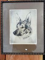 Ets/tekening hond, Antiek en Kunst, Ophalen of Verzenden