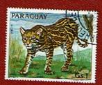 Fauna - Katachtigen - Paraguay - 3763 - Ocelot - gebr, Ophalen of Verzenden, Gestempeld, Dier of Natuur