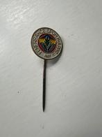 Vintage speldje Fenerbahçe Turkije, Ophalen of Verzenden, Zo goed als nieuw