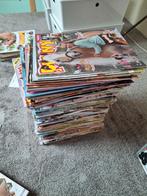 200 Penny's + 12 penny's extra + 9 xxl seizoenen boeken, Ophalen, Zo goed als nieuw, Overige typen