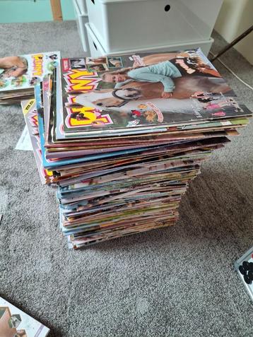 200 Penny's + 12 penny's extra + 9 xxl seizoenen boeken beschikbaar voor biedingen