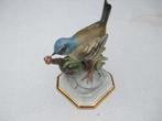Beeld porselein vogel Capodimonie, Ophalen of Verzenden
