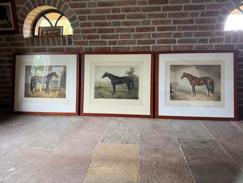 - Set van 3 Gravures volbloed paarden Ingelijst Hout, Antiek en Kunst, Kunst | Etsen en Gravures, Ophalen