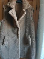 Prachtige teddy bruine/camel bodywarmer in maat 38., Kleding | Dames, Bruin, Studio Ar, Zo goed als nieuw, Ophalen