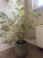 Kunst plant silk-ka, Ophalen of Verzenden, Zo goed als nieuw, Binnen