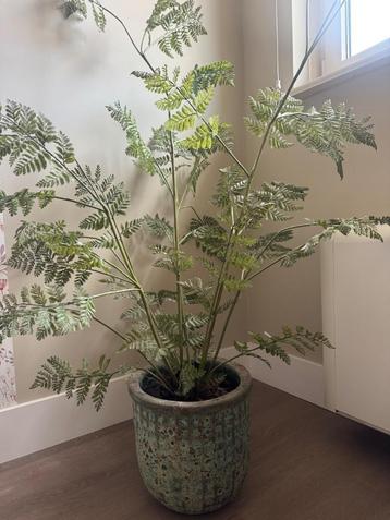 Kunst plant silk-ka  beschikbaar voor biedingen