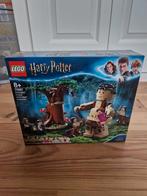 LEGO Harry Potter 75967 Verboden Bos Nieuw, Ophalen of Verzenden, Nieuw, Complete set, Lego