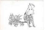 Peter Vos - Ansicht met Illustratie. van Peter. voor € 1,00, Verzenden, 1960 tot 1980, Ongelopen, Cultuur en Media