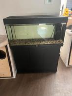 Aquarium Juwel Rio 180, Ophalen, Gebruikt, Leeg aquarium