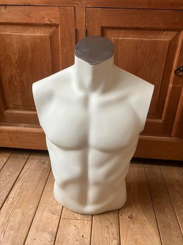 paspop torso/ mannequin /heren torso beschikbaar voor biedingen