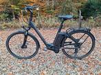 Mooie elektrische damesfiets Kalkhoff Agattu bj 2019 fr.m 55, Fietsen en Brommers, 51 tot 55 cm, Ophalen of Verzenden, Zo goed als nieuw