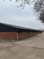 Golfplaten uit 2021 [534], Boekhorst Trading, Info@boekhorsttrading.com, Singel 16, Horssen