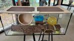 Hamster / knaagdier aquarium, Dieren en Toebehoren, Gebruikt, 75 tot 110 cm, Ophalen, Minder dan 60 cm