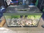 Aquarium: Tetra, 60x30x35hoog, koudwater vissen+lampje leeg, Dieren en Toebehoren, Vissen | Aquaria en Toebehoren, Plant(en), Steen of Hout