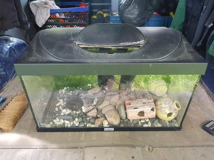 Aquarium-accessoires en soorten grind, Dieren en Toebehoren, Vissen | Aquaria en Toebehoren, Zo goed als nieuw, Plant(en), Steen of Hout
