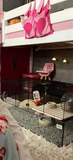 Hamster met kooi en alle benodigde spulletjes, Dieren en Toebehoren, Knaagdieren en Konijnen | Hokken en Kooien, Kooi, 110 cm of meer