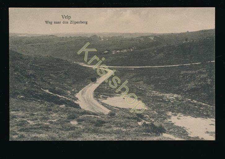 Velp - Weg naar de Zijpenberg [KRST009-0841, Verzamelen, Ansichtkaarten | Nederland, Ongelopen, Gelderland, 1940 tot 1960, Verzenden