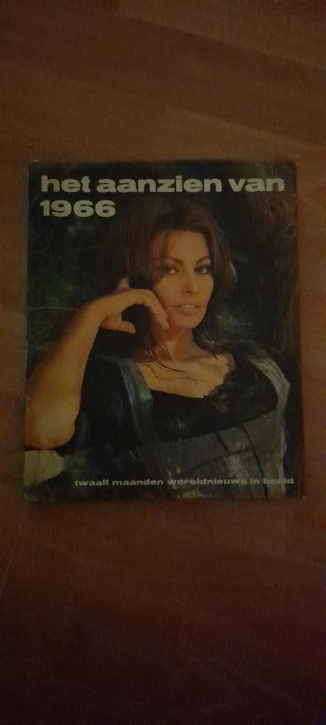 Het aanzien van 1966, Boeken, 20e eeuw of later, Overige gebieden, Ophalen of Verzenden, Zo goed als nieuw
