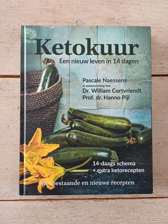 Pascale Naessens - Ketokuur, Boeken, Kookboeken, Zo goed als nieuw, Ophalen of Verzenden