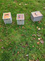 Tweevaks manden, Dieren en Toebehoren, Vogels | Duiven, Meerdere dieren, Postduif