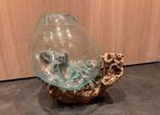 Glazen (vissen)kom op boomstronk - decoratief ecosysteem, Ophalen, Gebruikt, Overige kleuren, Glas
