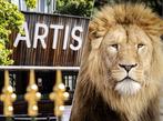 Artis Zoo Amsterdam, Drie personen of meer, Ticket of Toegangskaart
