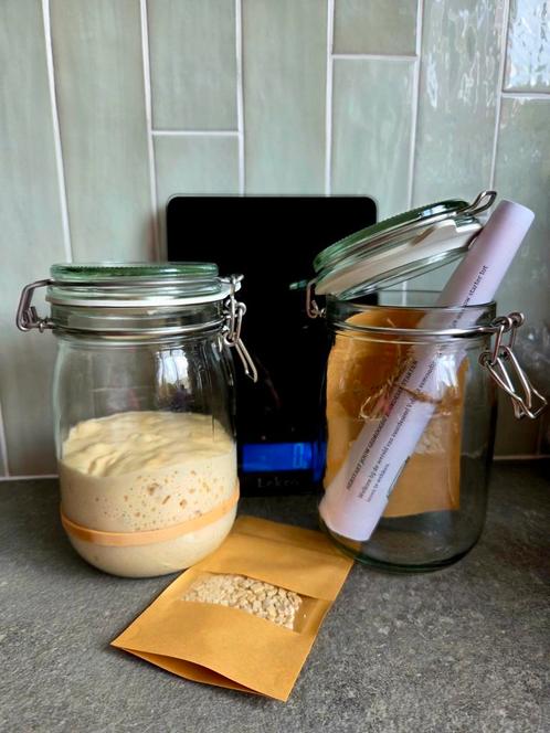 Zuurdesem starter (gedroogd) 10 gram met instructies, Diversen, Levensmiddelen, Ophalen of Verzenden