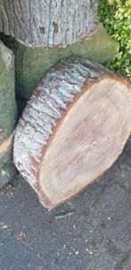 Gave eiken schijven, Ophalen