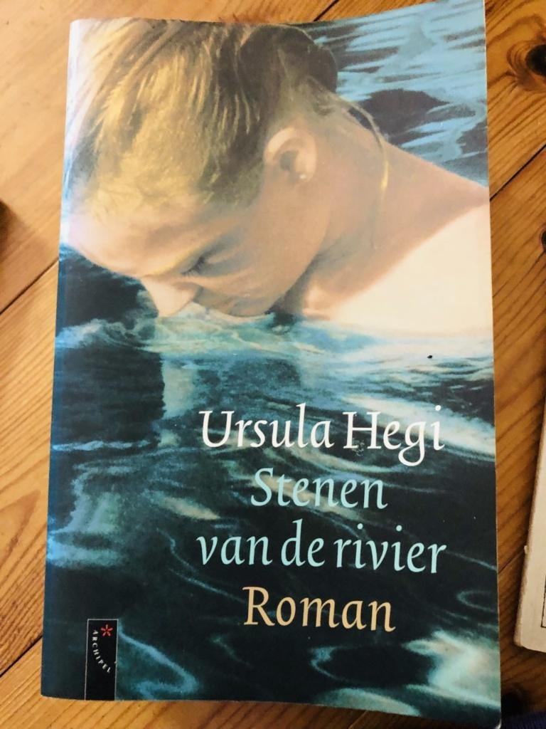Ursula hegi/ stenen van de rivier /dik boek, Ophalen of Verzenden, Zo goed als nieuw