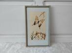 Jaren 60 wanddecoratie Taxidermie vlinders, Ophalen of Verzenden, ., ., .