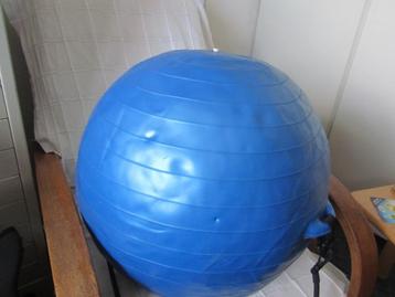 Fitness bal beschikbaar voor biedingen