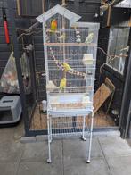 Diverse fietsen, vogelkrat, fietskarretje en konijnenschuur, Dieren en Toebehoren, Ophalen, Vogelkooi