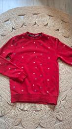 Bad Boys Trui Rood - Maat 158/164, Gebruikt, Trui of Vest, Ophalen of Verzenden, Bad Boys