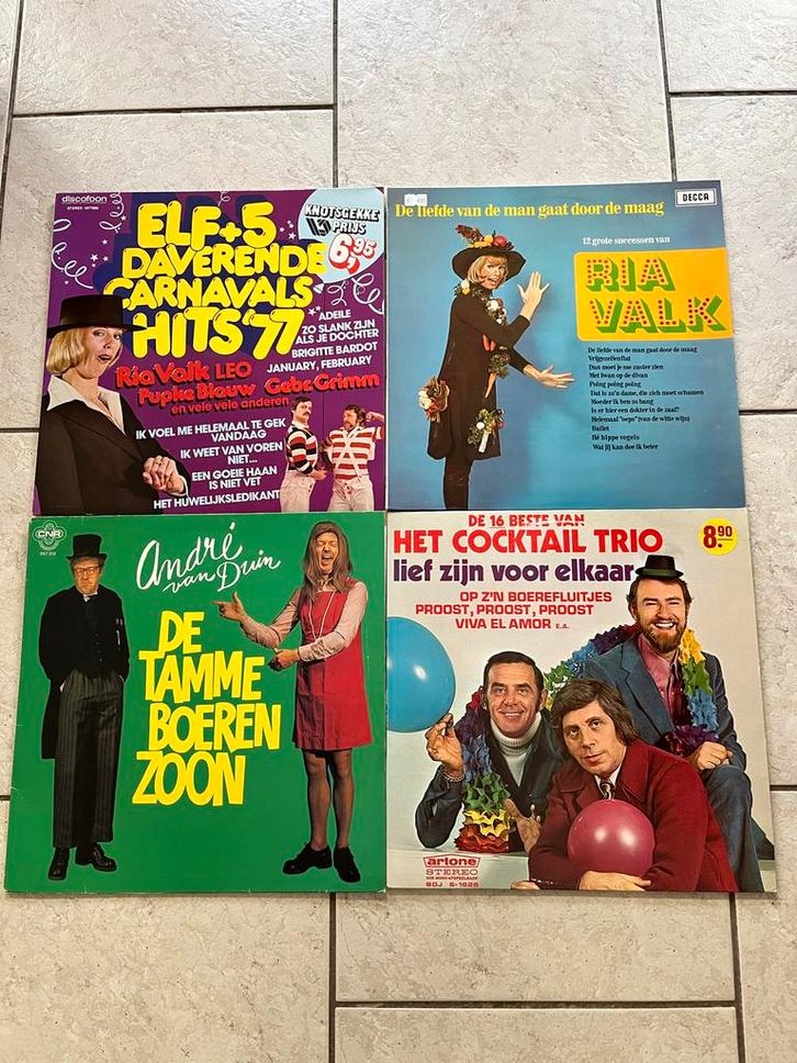 12 LP's Carnavalskrakers - Diverse Artiesten, Cd's en Dvd's, Vinyl | Nederlandstalig, Gebruikt, Levenslied of Smartlap, 12 inch