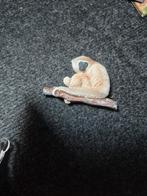 Magneet gibbon, Ophalen of Verzenden, Zo goed als nieuw, Hond of Kat, Beeldje of Figuurtje