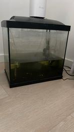 Klein aquarium met verwarming en filter, Ophalen, Gebruikt, Leeg aquarium