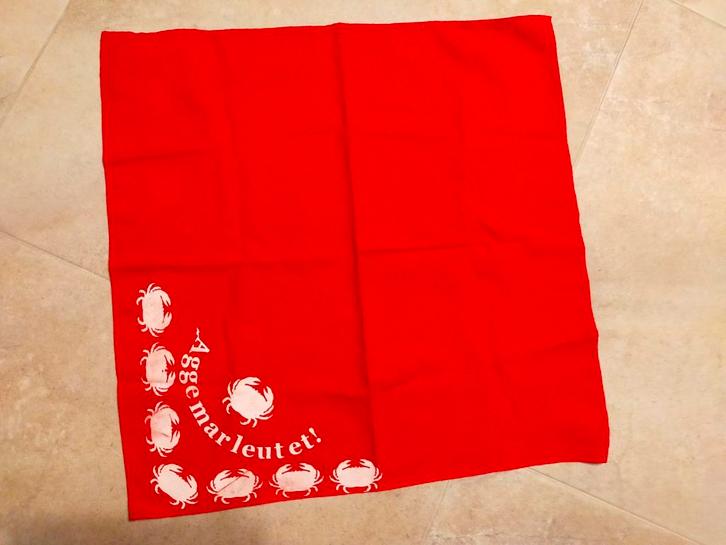 CARNAVAL BERGEN OP ZOOM KRAB VASTENAVEND KRABBEGAT, Kleding | Dames, Carnavalskleding en Feestkleding, Nieuw, Accessoires, Carnaval