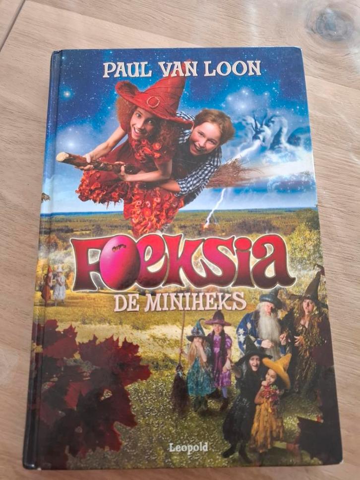 Foeksia de mini heks - Paul van Loon, Boeken, Kinderboeken | Jeugd | onder 10 jaar, Zo goed als nieuw, Fictie algemeen, Ophalen of Verzenden