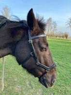 Micklem (bitloos) Multi Bridle hoofdstel XFull - Type 2, Verzenden, Zo goed als nieuw, Dressuur