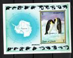 umm al qiwain 1972 pf blok pinguins vogels birds, Postzegels en Munten, Postzegels | Thematische zegels, Ophalen of Verzenden