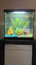 Aquarium 30 liter zwart, Ophalen, Zo goed als nieuw, Verlichting of Verwarming